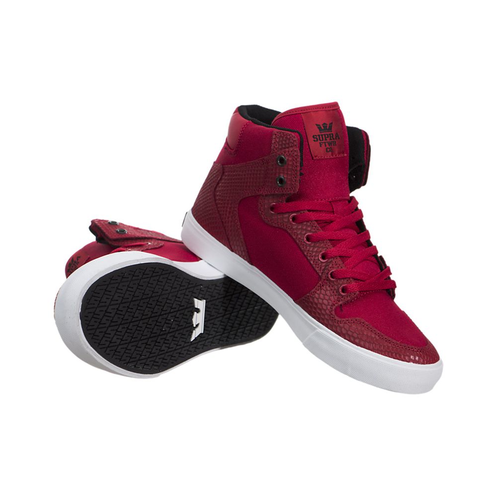 Baskets Montantes Supra Vaider Rouge Red/Snake-White Homme | VBY-02857140